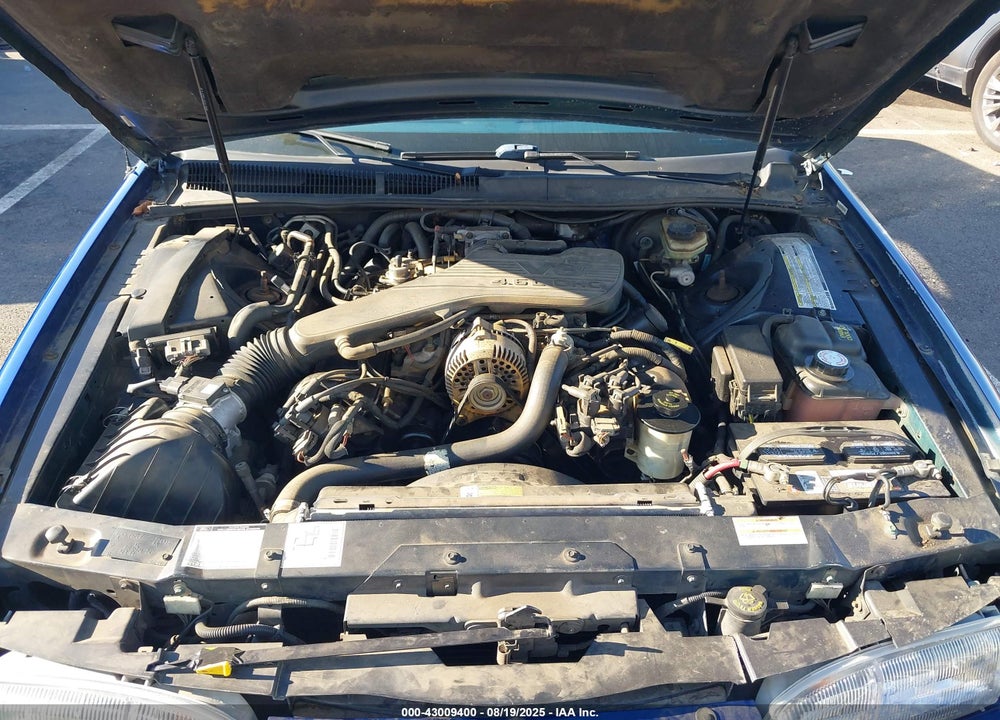 1994 FORD THUNDERBIRD LX VIN: 1FALP62W1RH221933