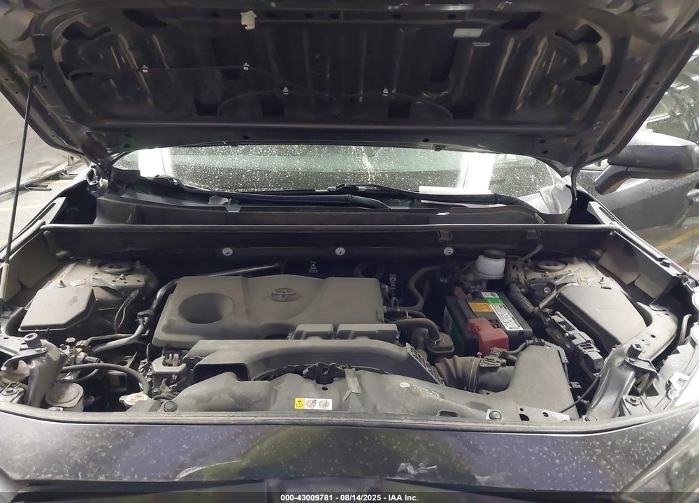2019 TOYOTA RAV4 VIN: JTMH1RFV3KJ003088