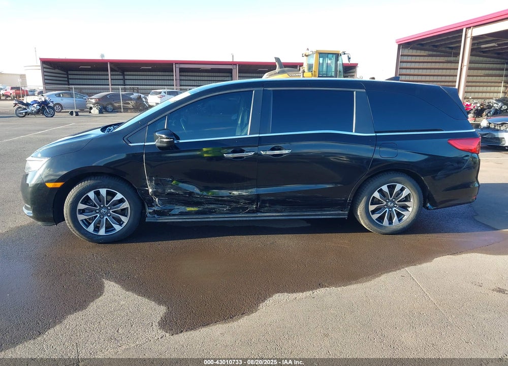 2022 HONDA ODYSSEY VIN: 5FNRL6H78NB019911