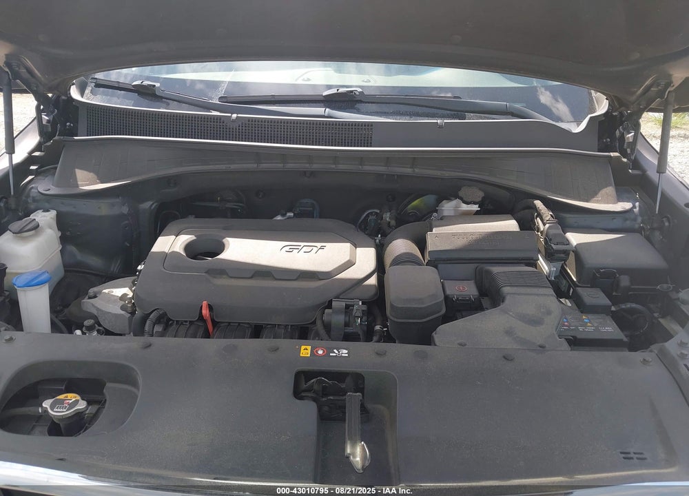 2019 KIA SORENTO VIN: 5XYPG4A34KG509466