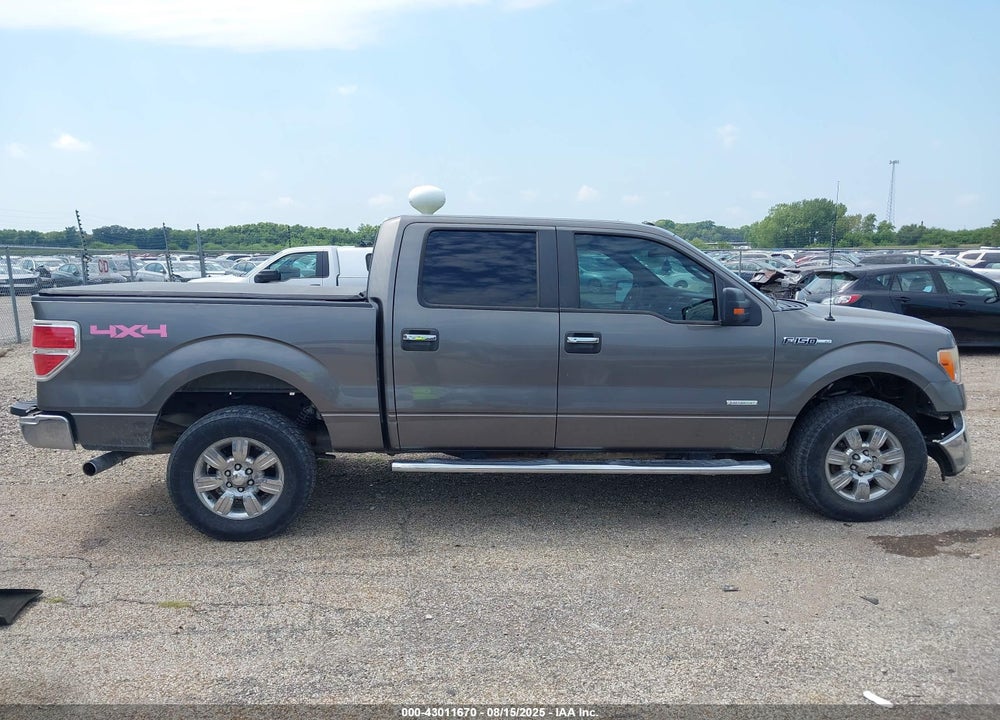 2011 FORD F-150 XLT VIN: 1FTFW1ET9BFC48362