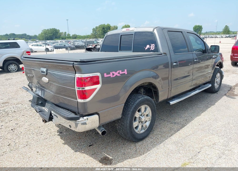 2011 FORD F-150 XLT VIN: 1FTFW1ET9BFC48362
