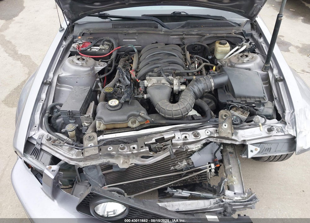 2006 FORD MUSTANG GT VIN: 1ZVFT82H565210430