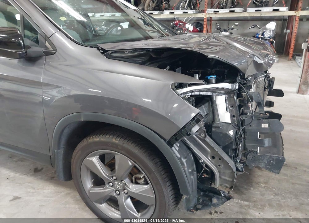 2021 HONDA PASSPORT VIN: 5FNYF8H96MB024362