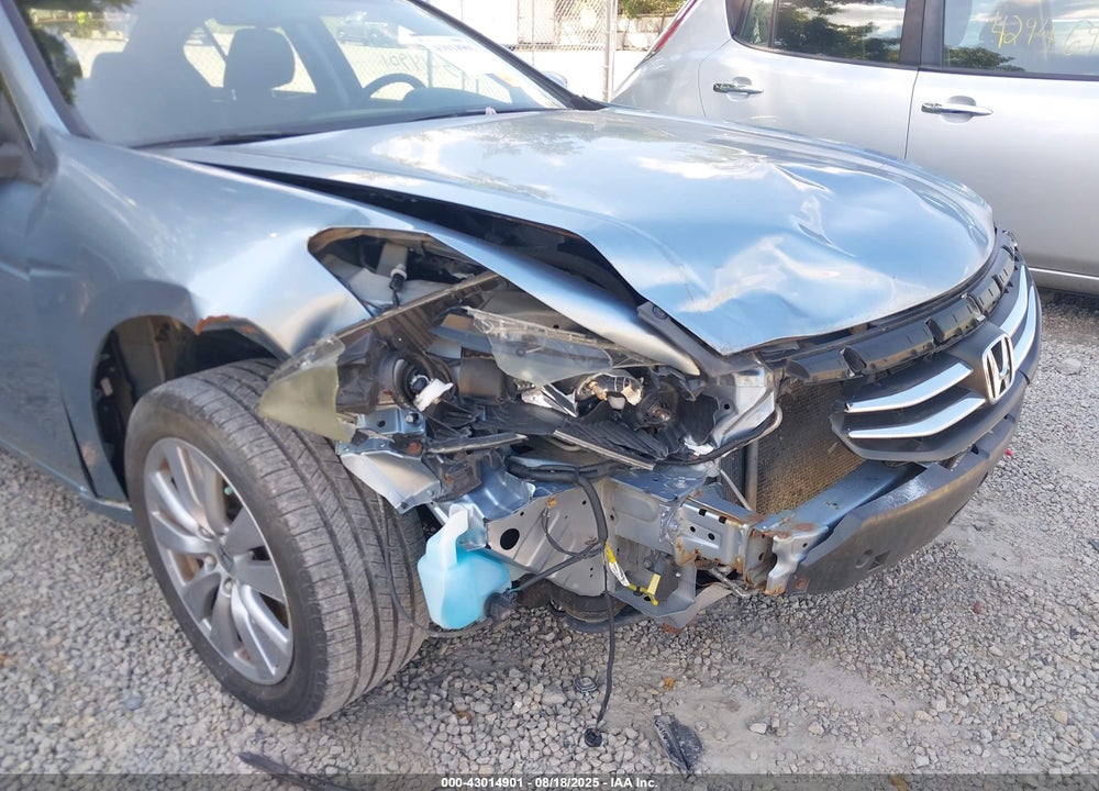 2011 HONDA ACCORD VIN: 1HGCP3F80BA004975