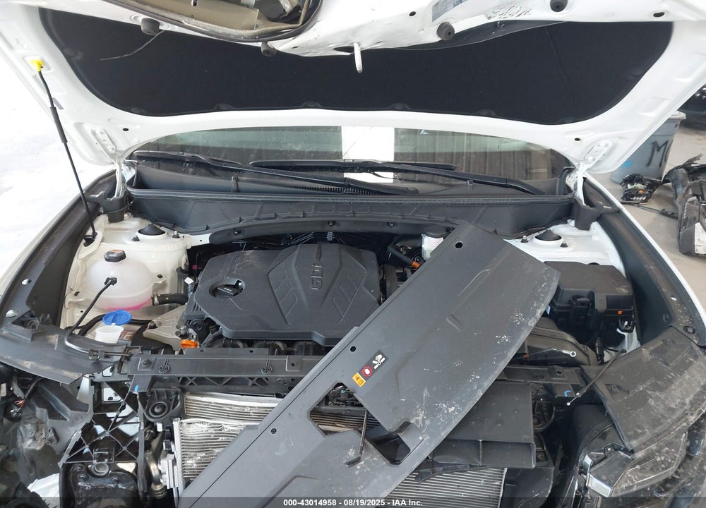 2025 HYUNDAI TUCSON VIN: 5NMJB3DE3SH513056