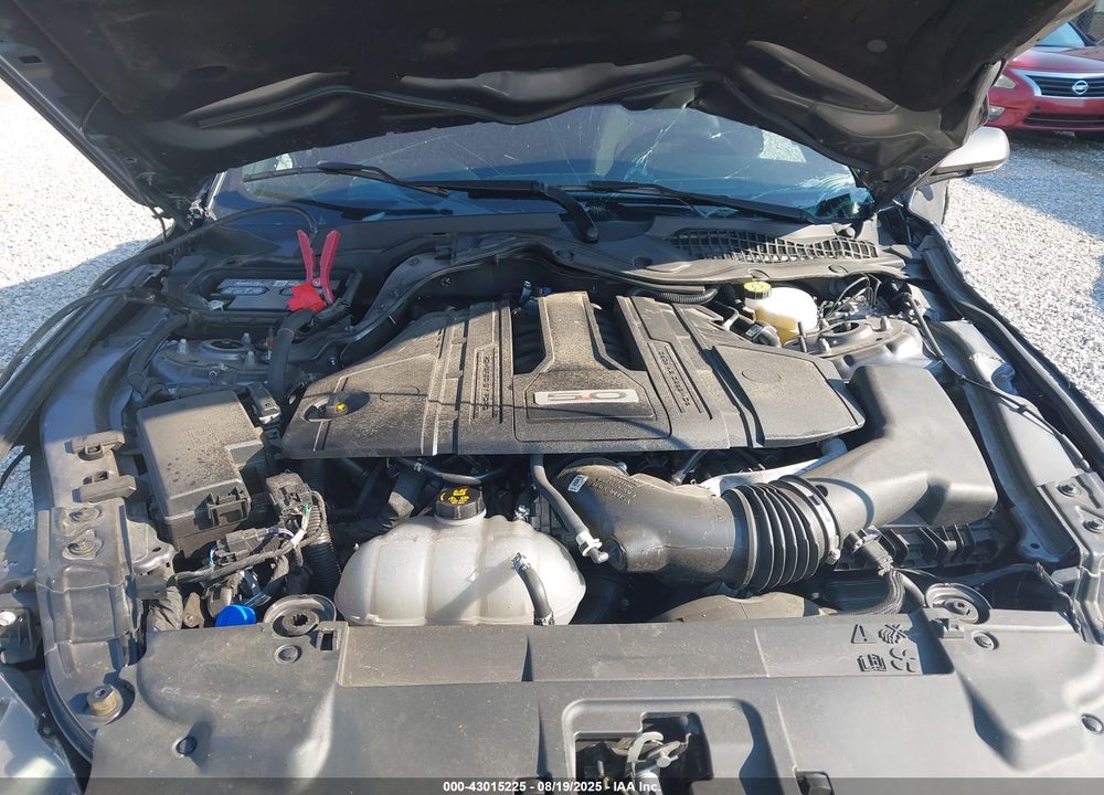 2021 FORD MUSTANG VIN: 1FA6P8CF6M5152092