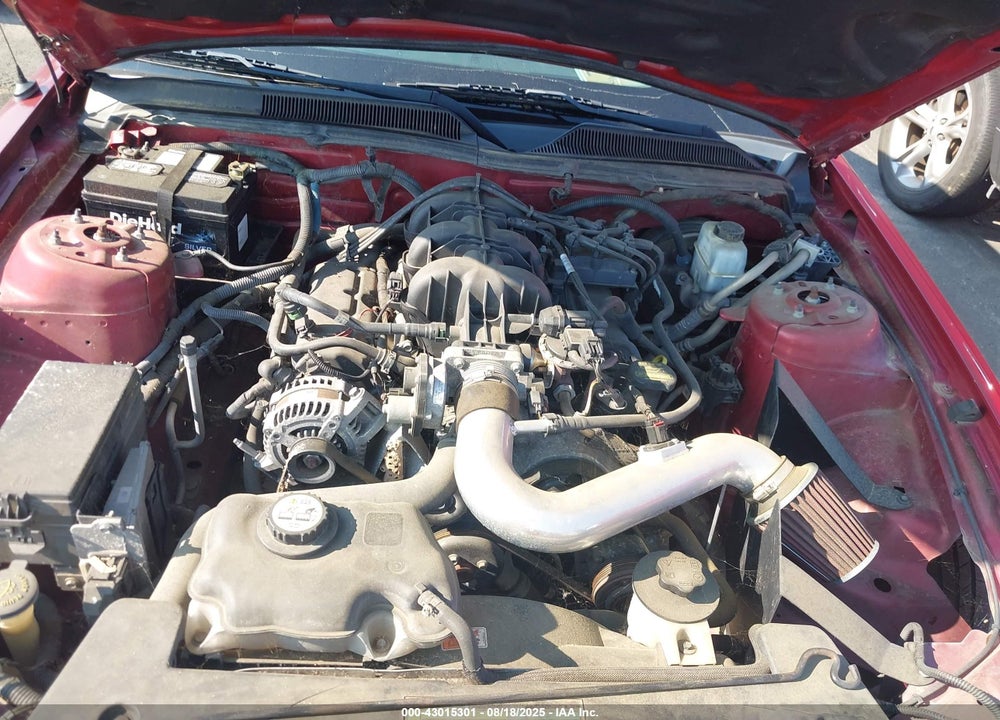 2009 FORD MUSTANG VIN: 1ZVHT80N095120348