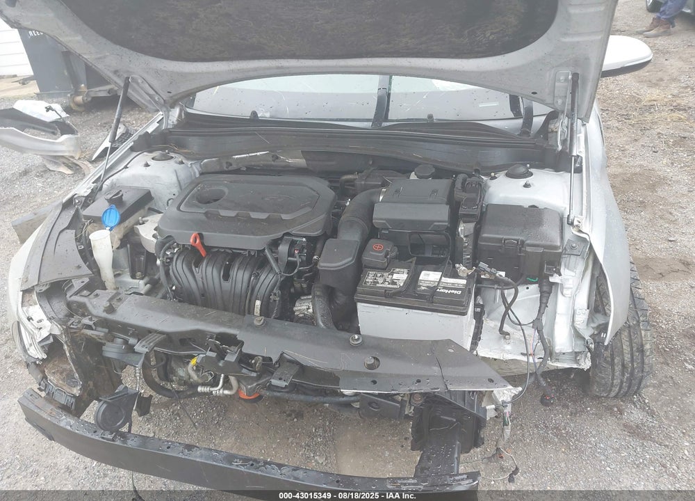 2019 KIA OPTIMA VIN: 5XXGT4L37KG314006