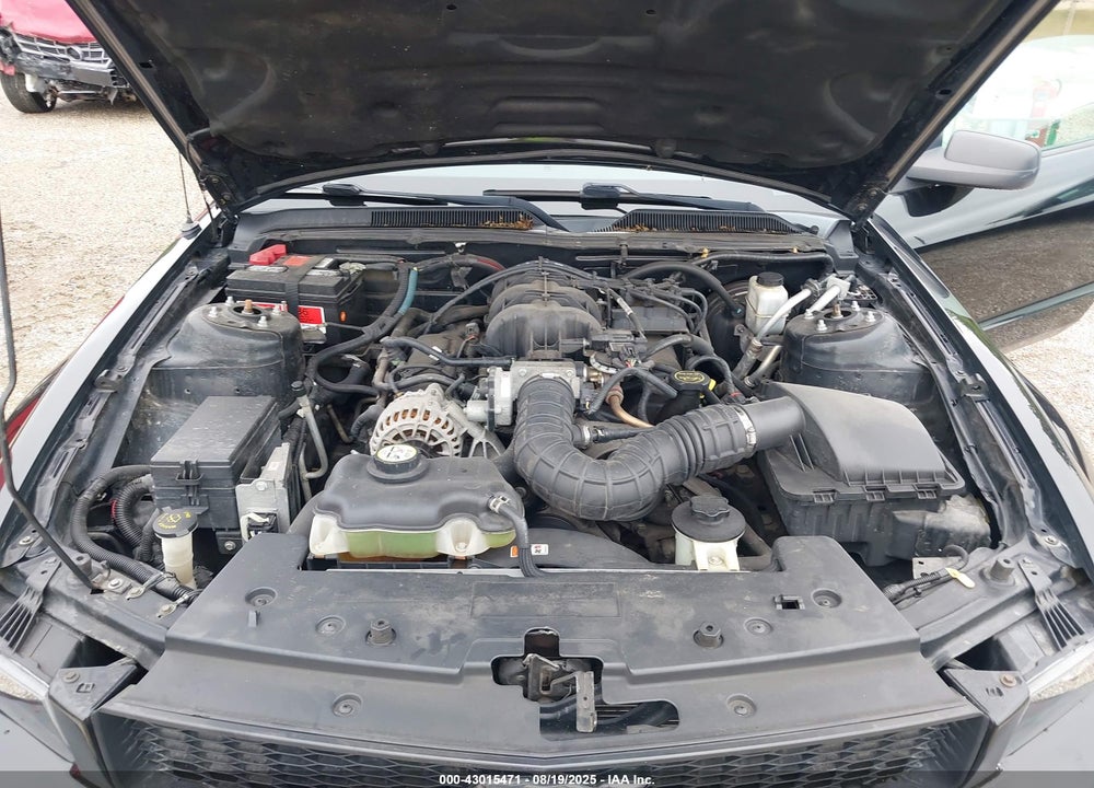 2009 FORD MUSTANG VIN: 1ZVHT80NX95113147