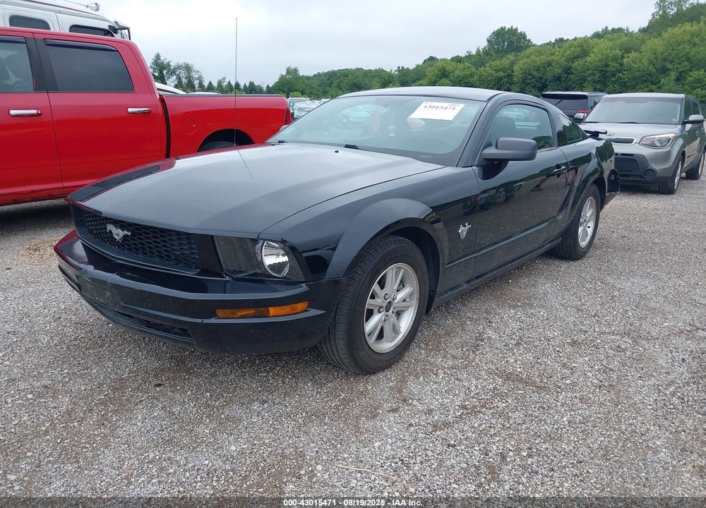 2009 FORD MUSTANG VIN: 1ZVHT80NX95113147
