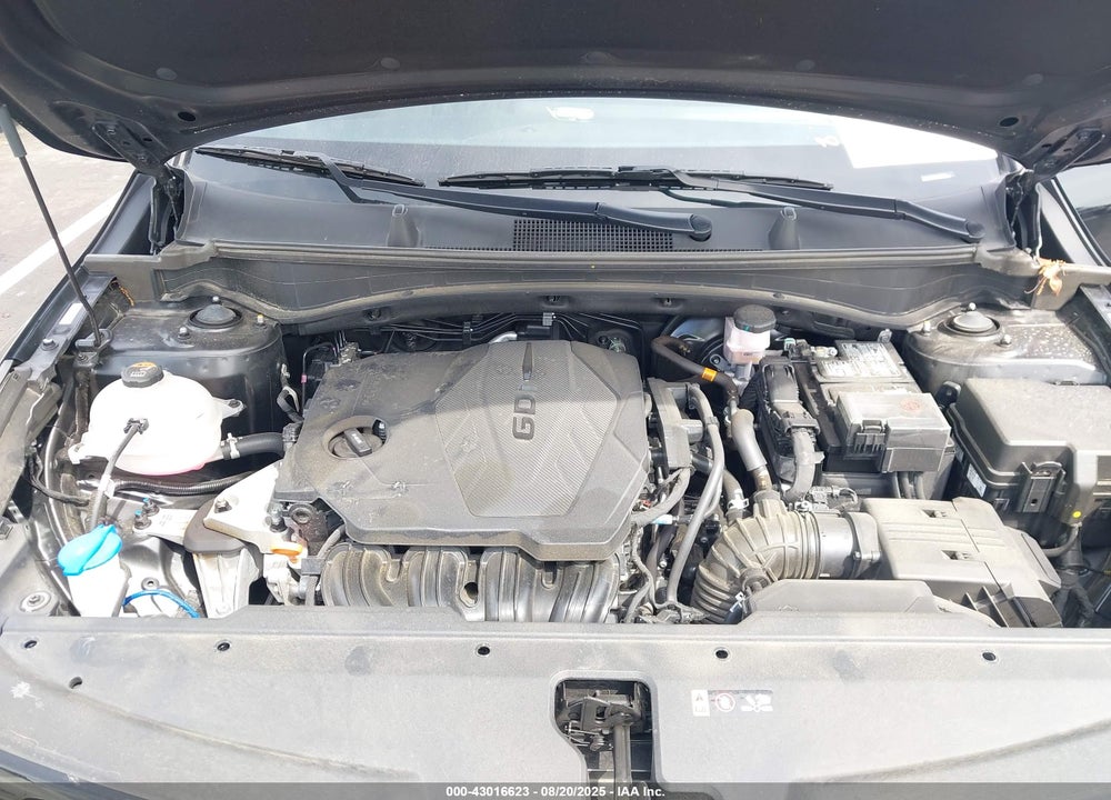 2024 KIA SPORTAGE VIN: 5XYK6CDF4RG197222