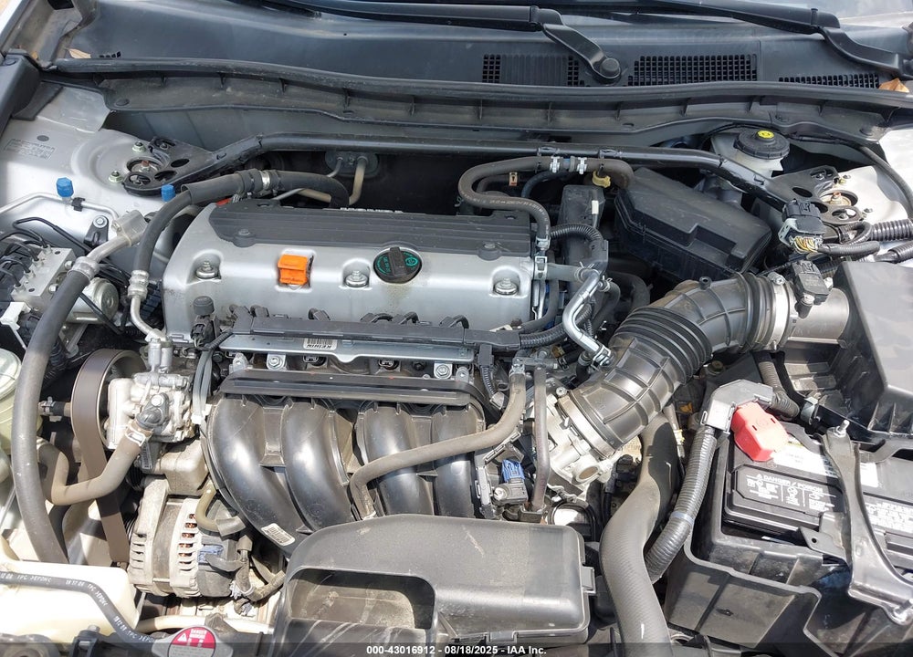 2010 HONDA ACCORD VIN: 1HGCP2F79AA113354