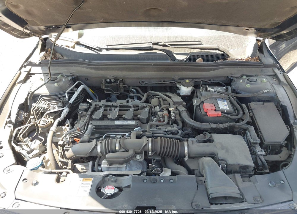 2019 HONDA ACCORD EX VIN: 1HGCV1F4XKA055746