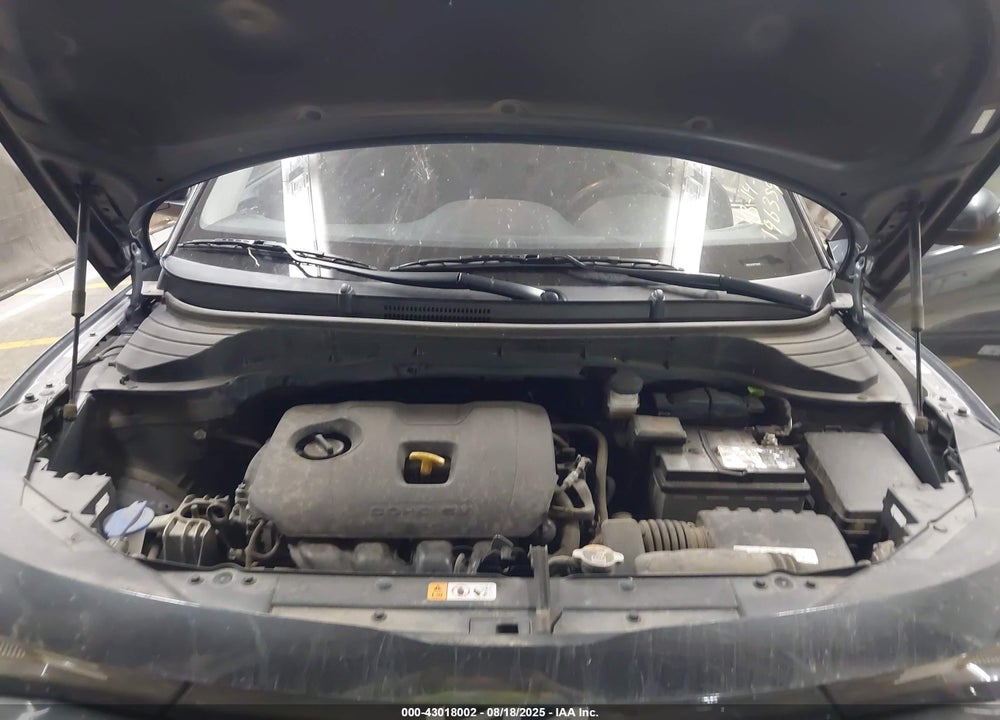 2023 KIA SOUL !/+/S VIN: KNDJ23AU9P7196359