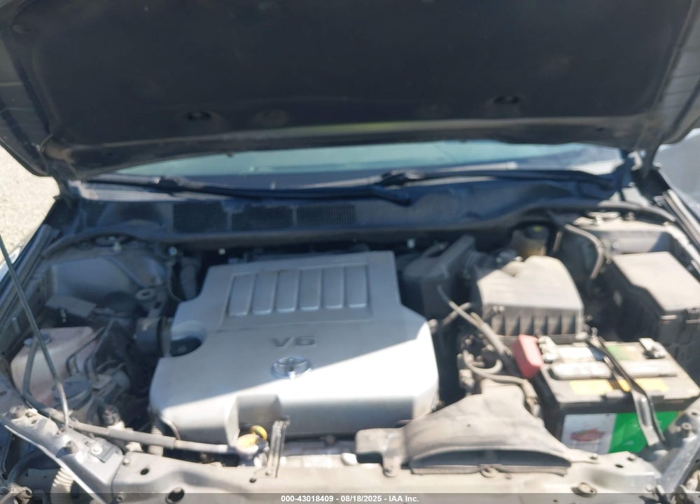 2009 TOYOTA VENZA VIN: 4T3BK11A29U014846