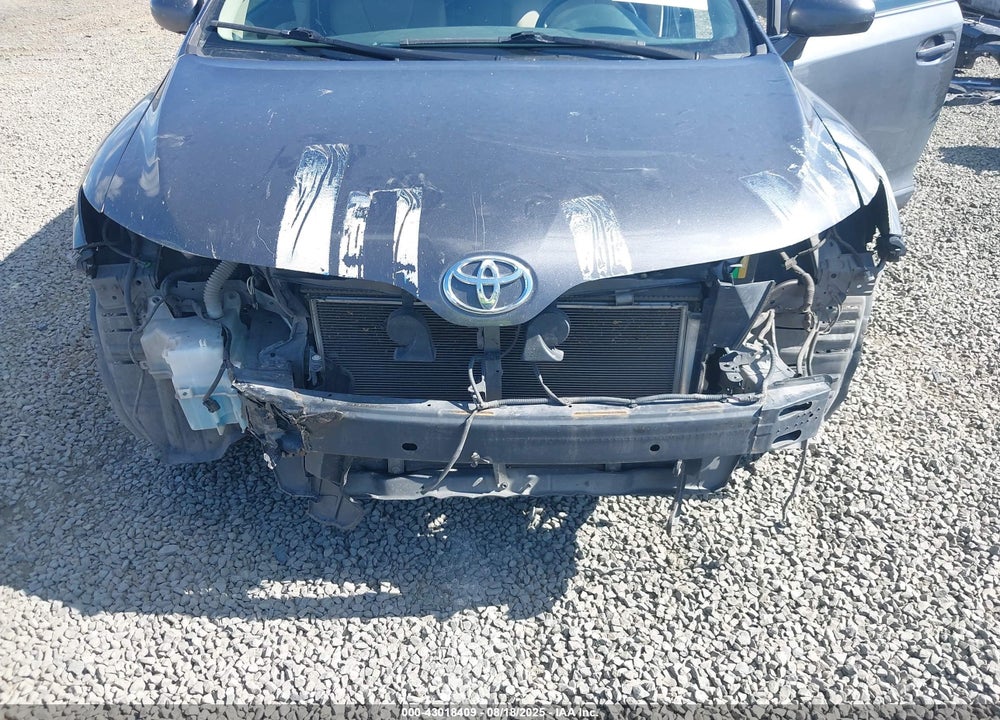 2009 TOYOTA VENZA VIN: 4T3BK11A29U014846