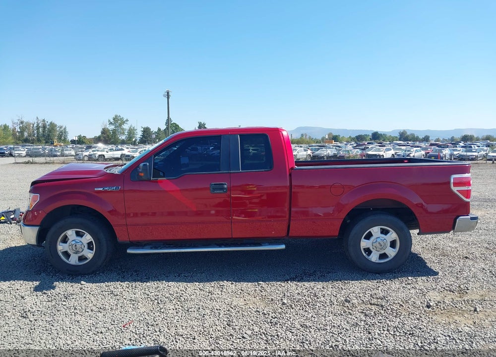 2013 FORD F-150 XLT VIN: 1FTFX1CF9DFA61510