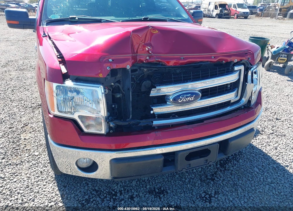 2013 FORD F-150 XLT VIN: 1FTFX1CF9DFA61510