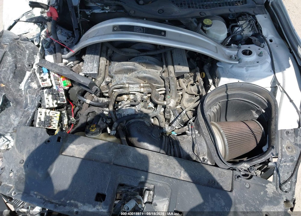2022 FORD MUSTANG VIN: 1FA6P8R01N5551593