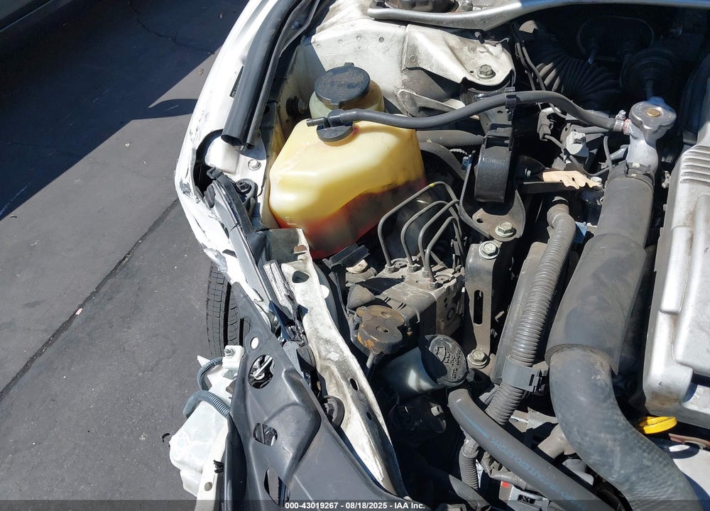 2006 LEXUS ES 330 VIN: JTHBA30G165159737