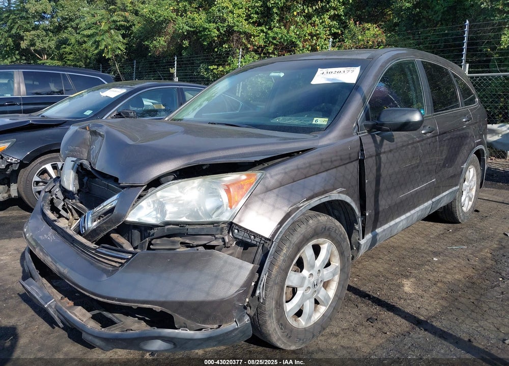 2009 HONDA CR-V VIN: 5J6RE48529L012933