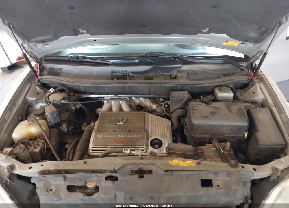 2003 LEXUS RX 300 VIN: JTJHF10U830304057