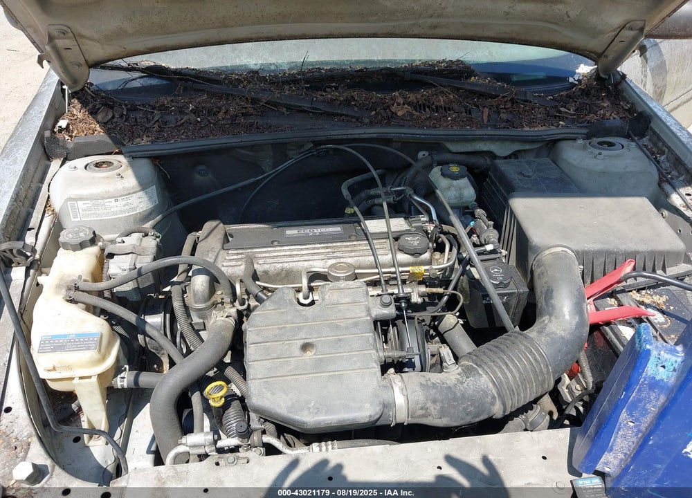 2005 CHEVROLET CLASSIC VIN: 1G1ND52F45M177071