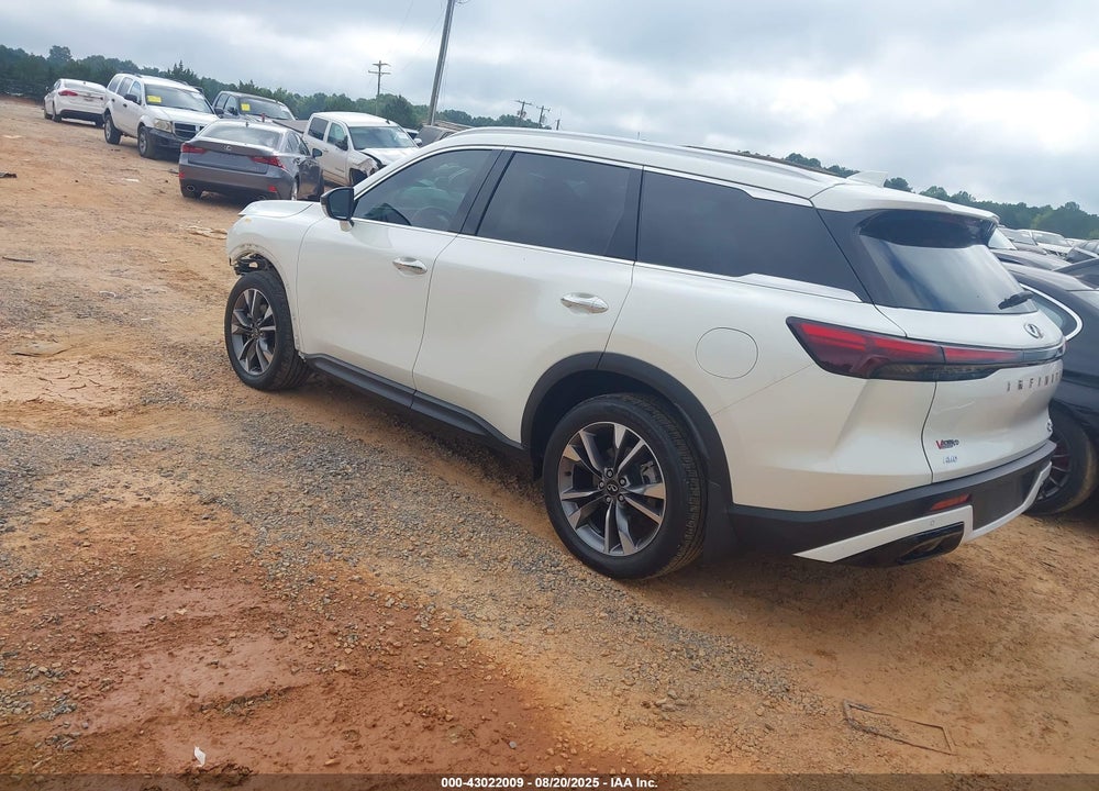 2024 INFINITI QX60 VIN: 5N1DL1FS0RC332373