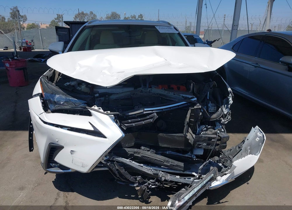 2019 LEXUS NX 300H VIN: JTJBJRBZ7K2123627
