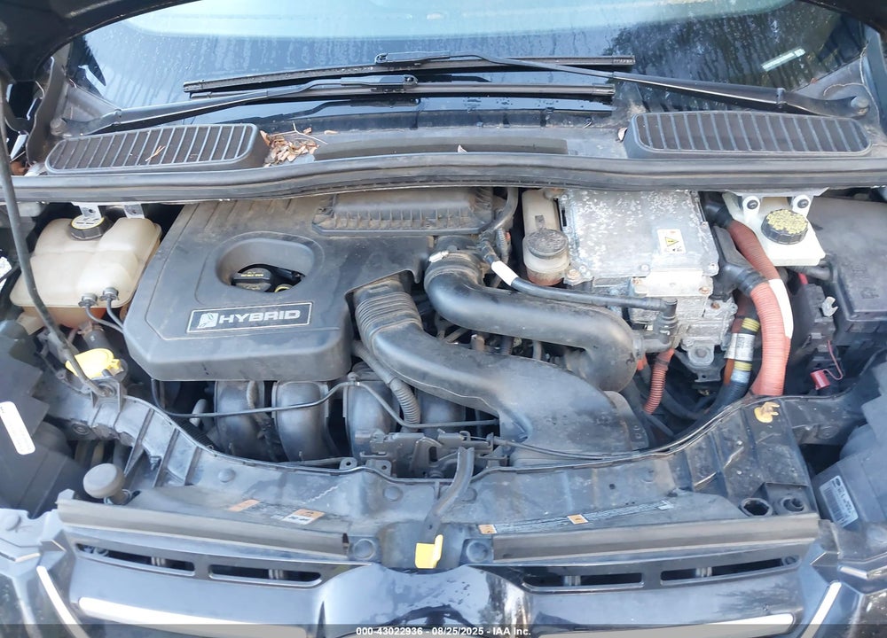 2013 FORD C-MAX VIN: 1FADP5BUXDL506066