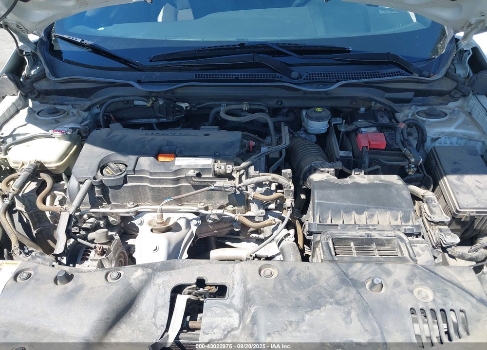 2019 HONDA CIVIC VIN: 2HGFC2F81KH548194
