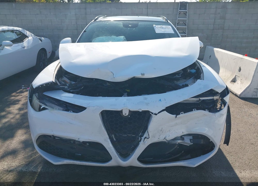 2019 ALFA ROMEO STELVIO VIN: ZASPAJANXK7C38418