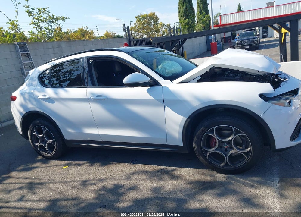 2019 ALFA ROMEO STELVIO VIN: ZASPAJANXK7C38418