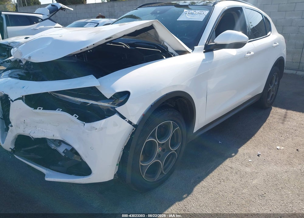 2019 ALFA ROMEO STELVIO VIN: ZASPAJANXK7C38418