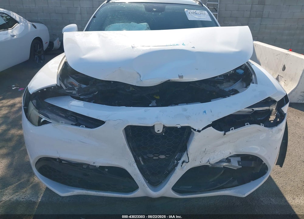 2019 ALFA ROMEO STELVIO VIN: ZASPAJANXK7C38418
