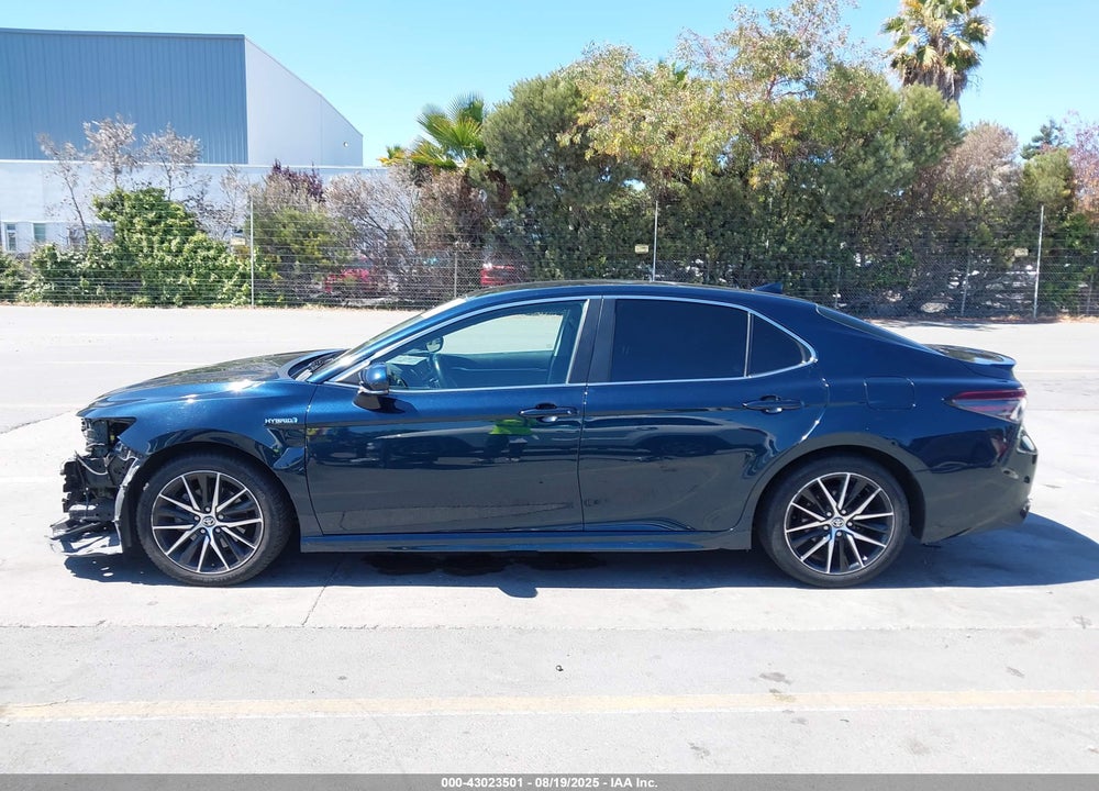 2021 TOYOTA CAMRY VIN: 4T1G31AK3MU553375