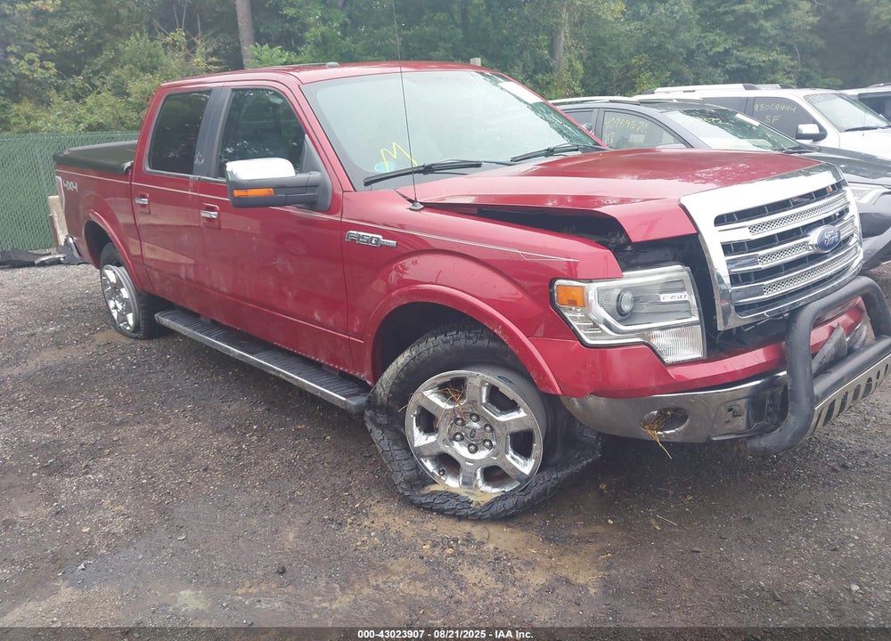 2013 FORD F-150 VIN: 1FTFW1EF3DFC39993