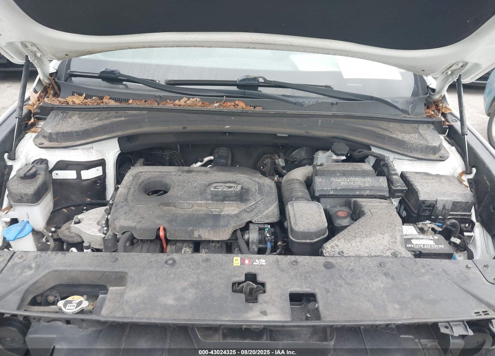 2020 HYUNDAI SANTA FE SE VIN: 5NMS2CAD9LH176734