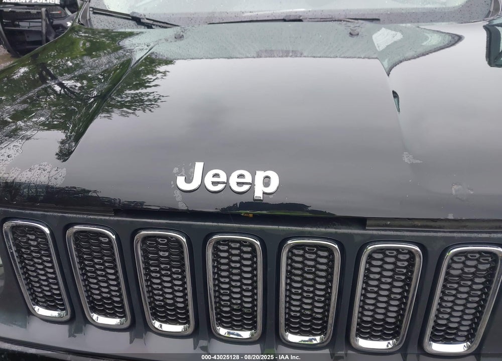 2016 JEEP RENEGADE VIN: ZACCJBBT3GPD53558
