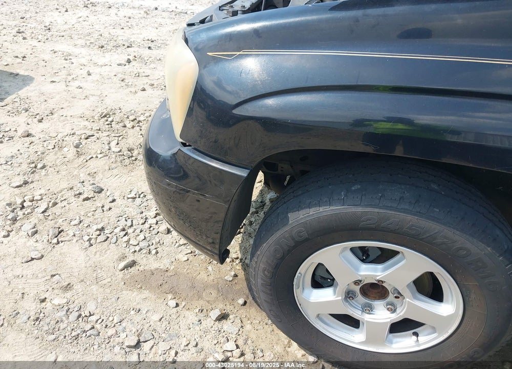 2003 CHEVROLET TRAILBLAZER LS VIN: 1GNDS13S232254209
