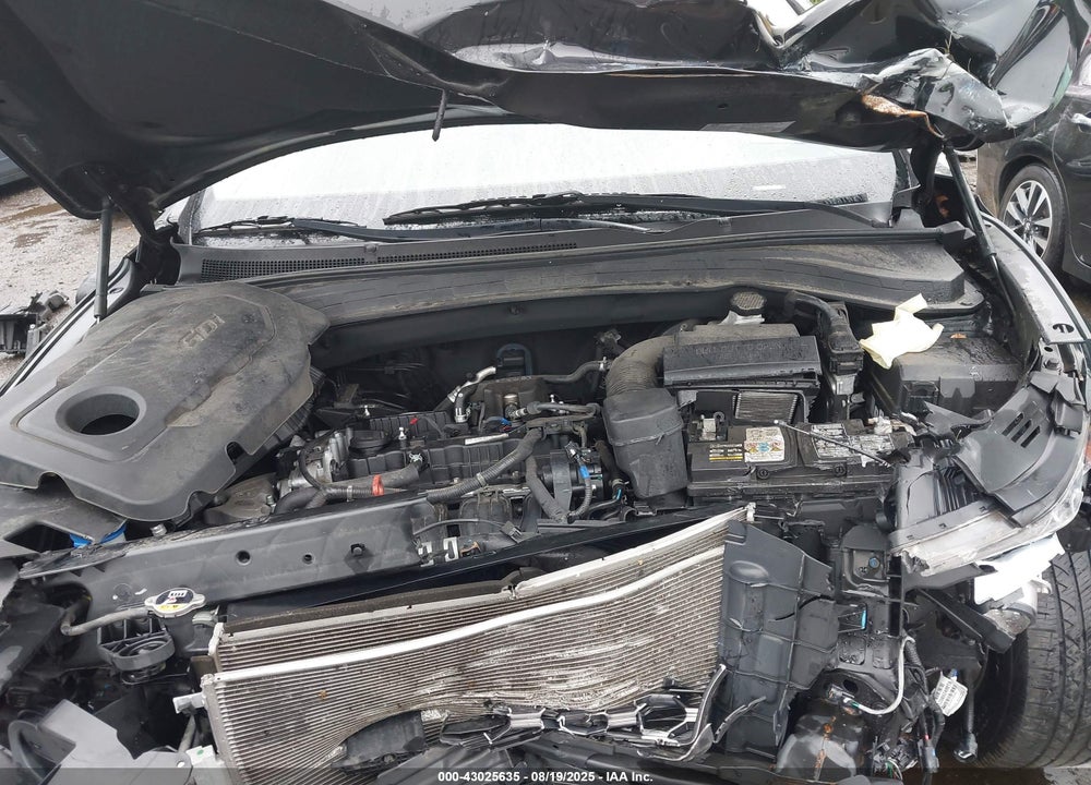 2019 HYUNDAI SANTA FE VIN: 5NMS3CAD7KH131884