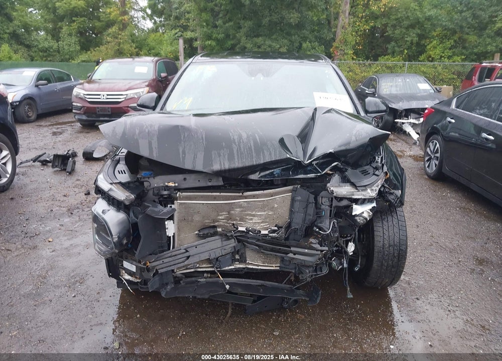 2019 HYUNDAI SANTA FE VIN: 5NMS3CAD7KH131884