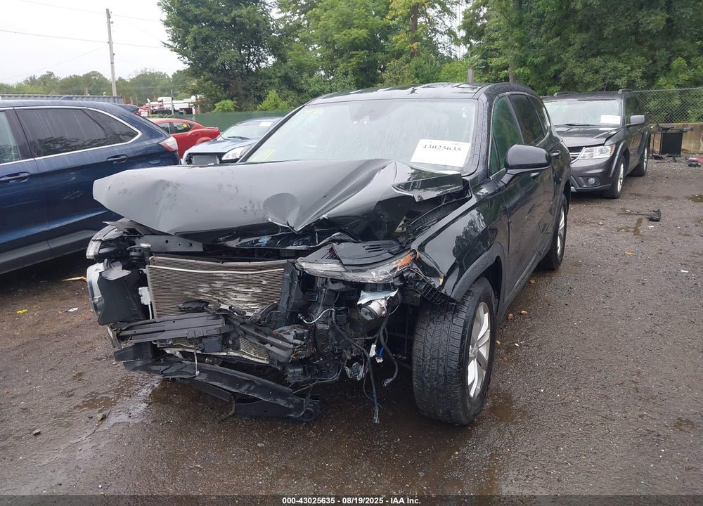 2019 HYUNDAI SANTA FE VIN: 5NMS3CAD7KH131884