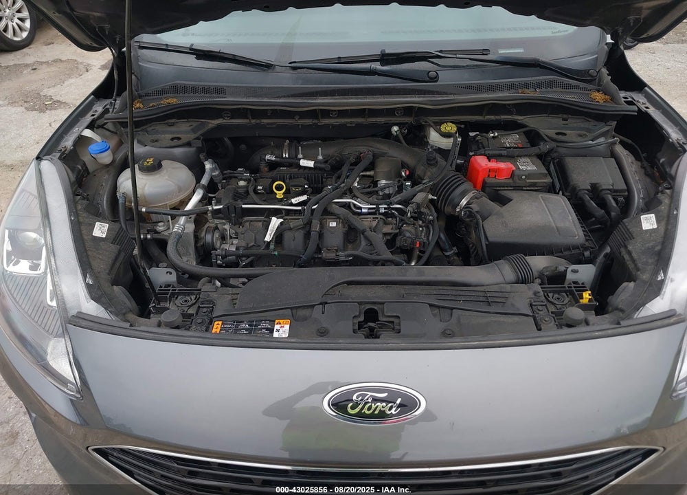 2021 FORD ESCAPE VIN: 1FMCU9H99MUA02655
