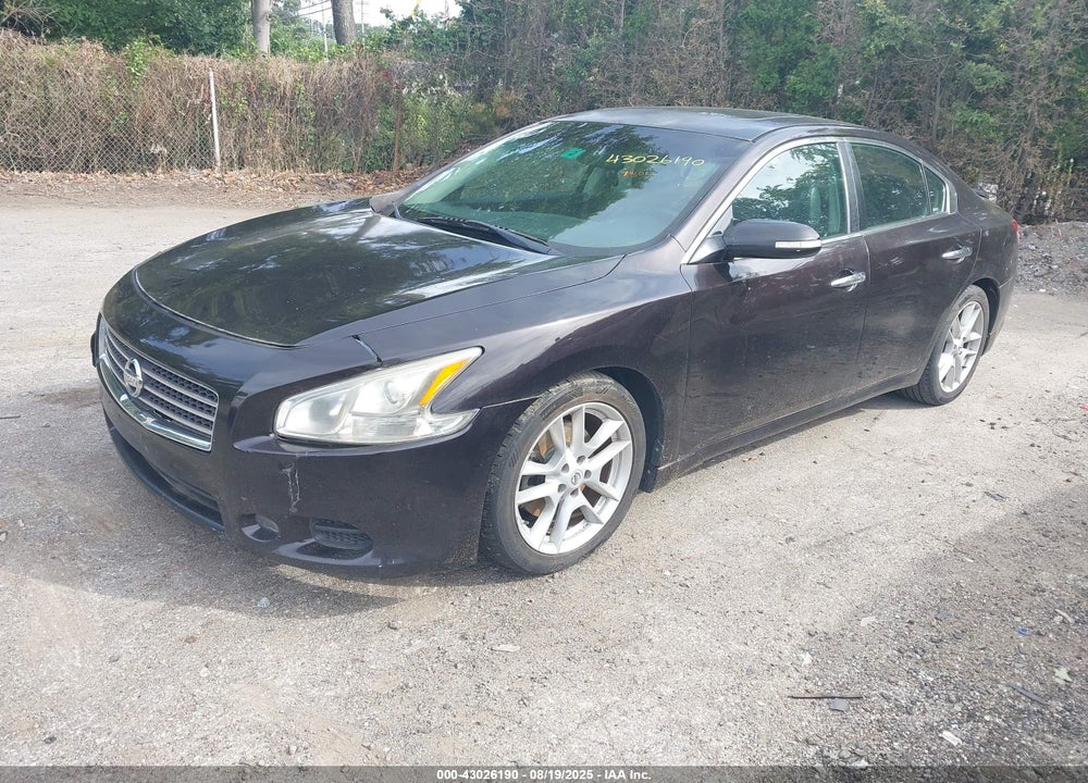 2010 NISSAN MAXIMA VIN: 1N4AA5APXAC854154