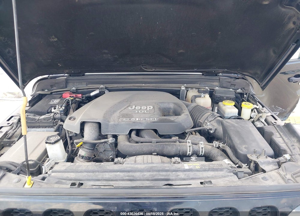 2020 JEEP WRANGLER UNLIMITED VIN: 1C4HJXDM7LW100362