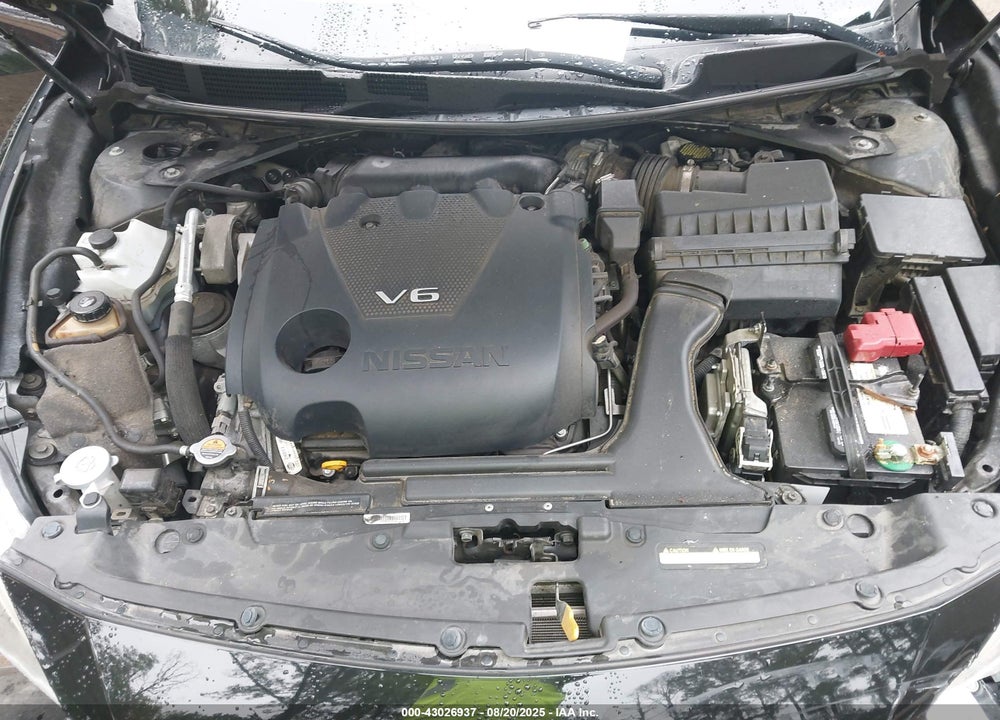 2016 NISSAN MAXIMA VIN: 1N4AA6APXGC376137