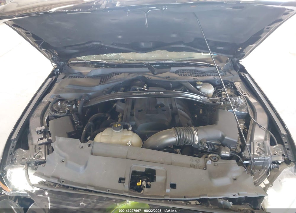 2020 FORD MUSTANG ECOBOOST FASTBACK VIN: 1FA6P8TD0L5129498