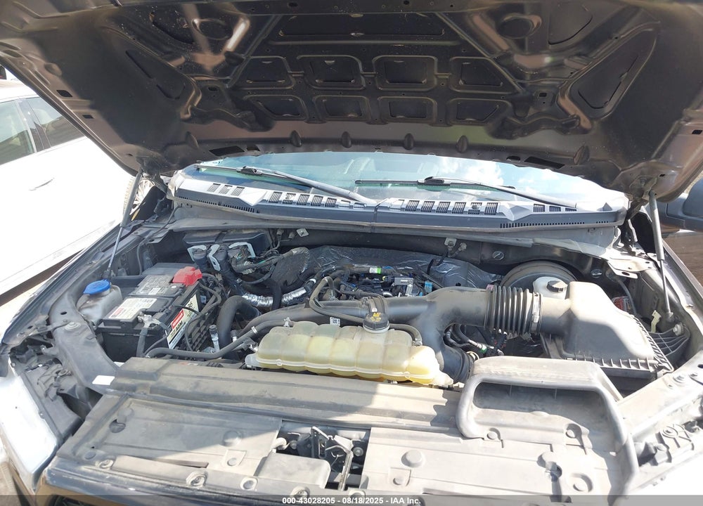 2019 FORD F-150 XL VIN: 1FTEW1CPXKKC73795